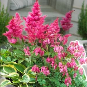 Meet your Posher, H.g.